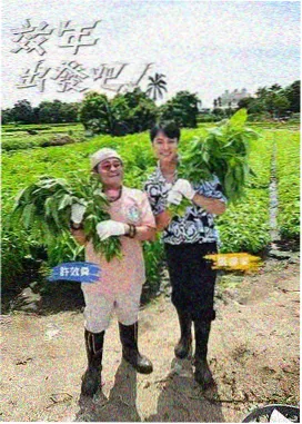第七码头动漫海报